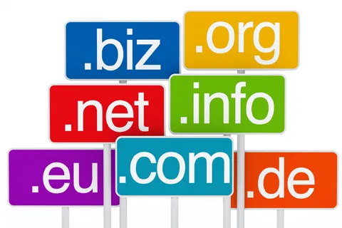 Website domain services