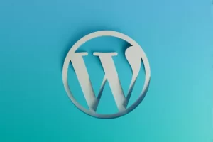 WordPress website development